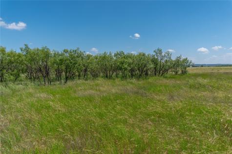 T1 County Road 204 Bradshaw TX 79567