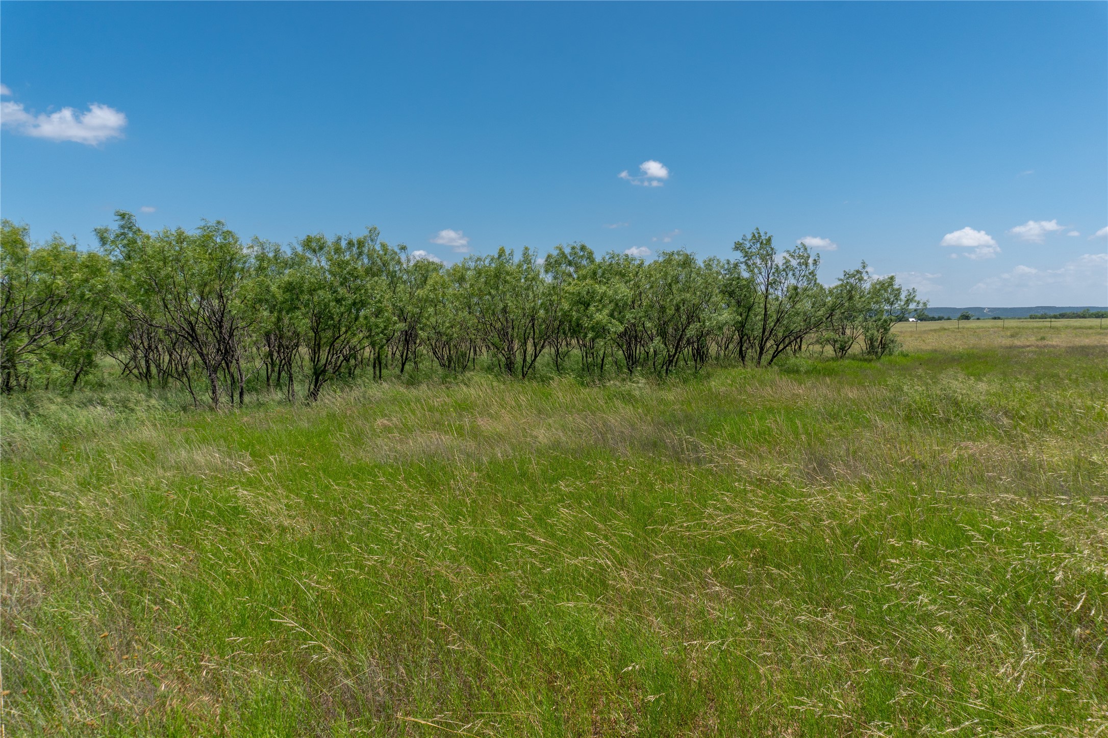 T1 County Road 204 Bradshaw TX 79567
