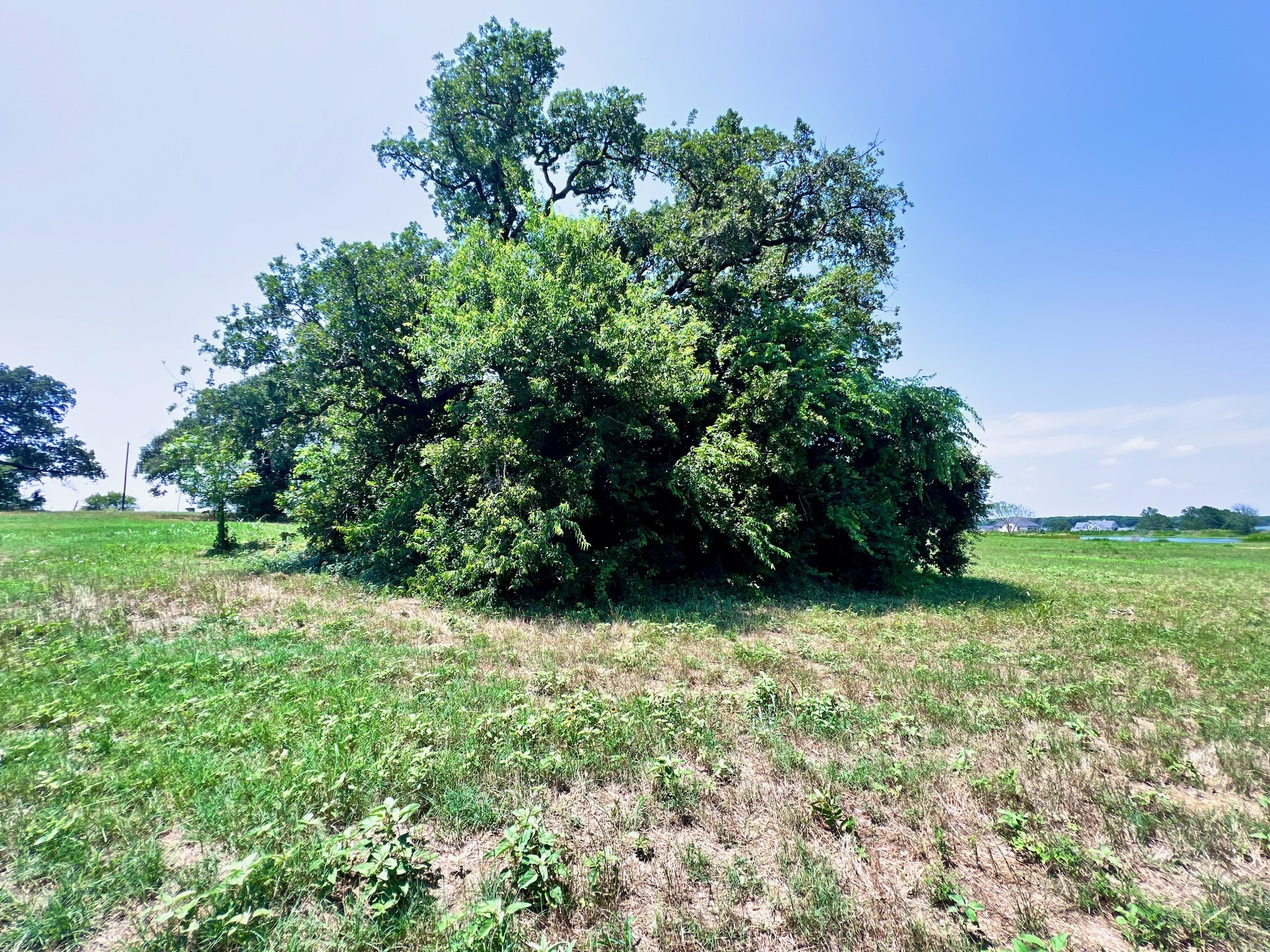 Lot 73 SE County Road 3150 Corsicana TX 75109