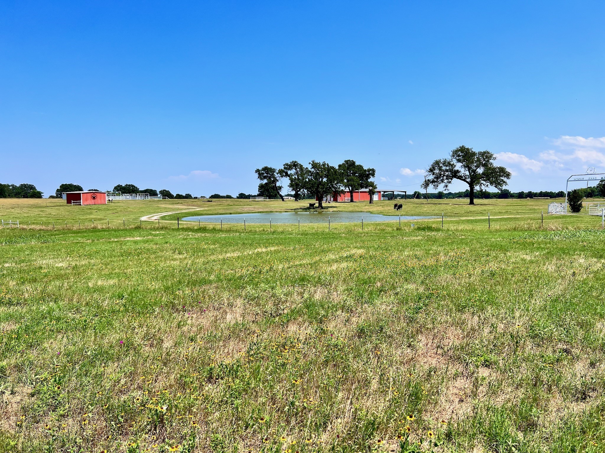 Lot 73 SE County Road 3150 Corsicana TX 75109