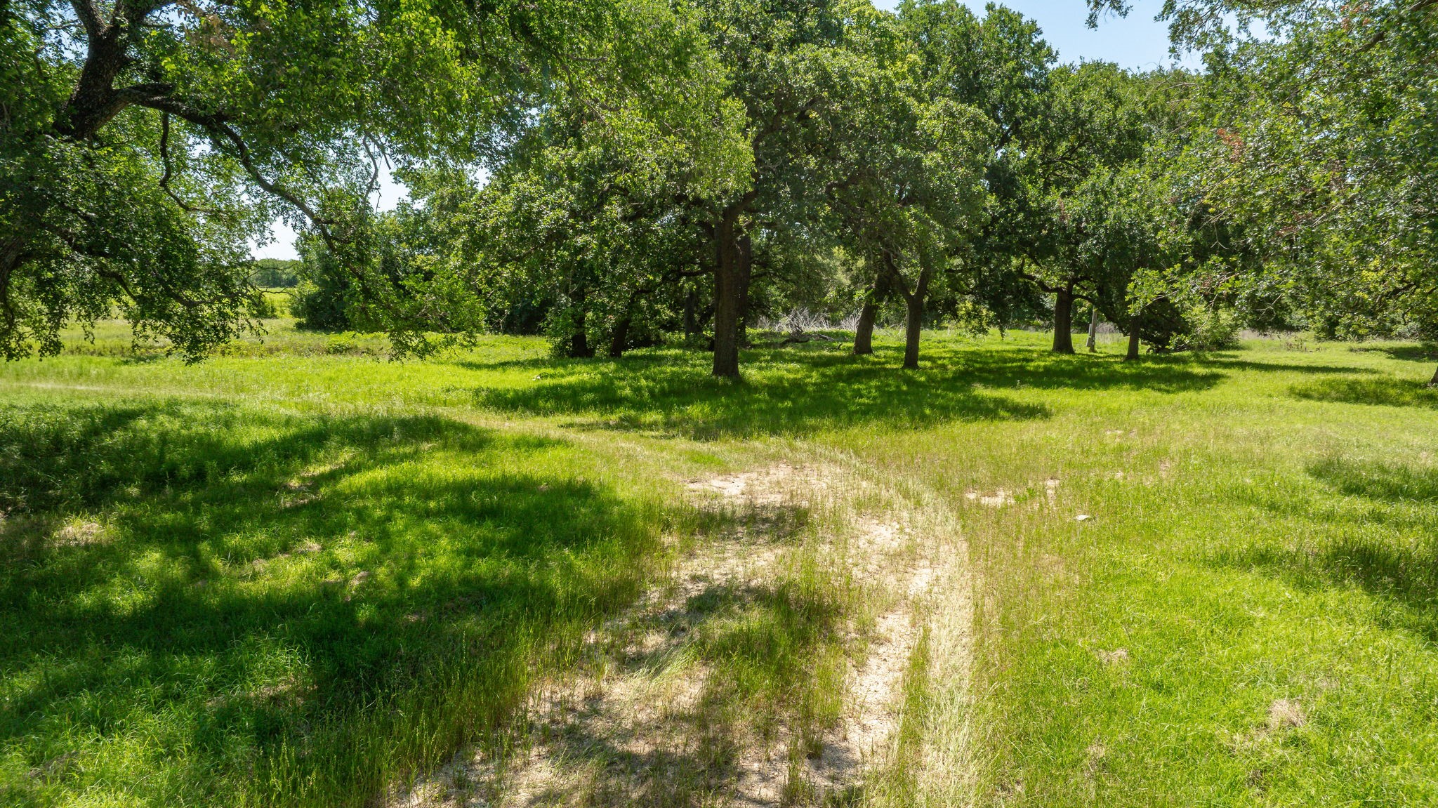 1275 County Road 216 Iredell TX 76649