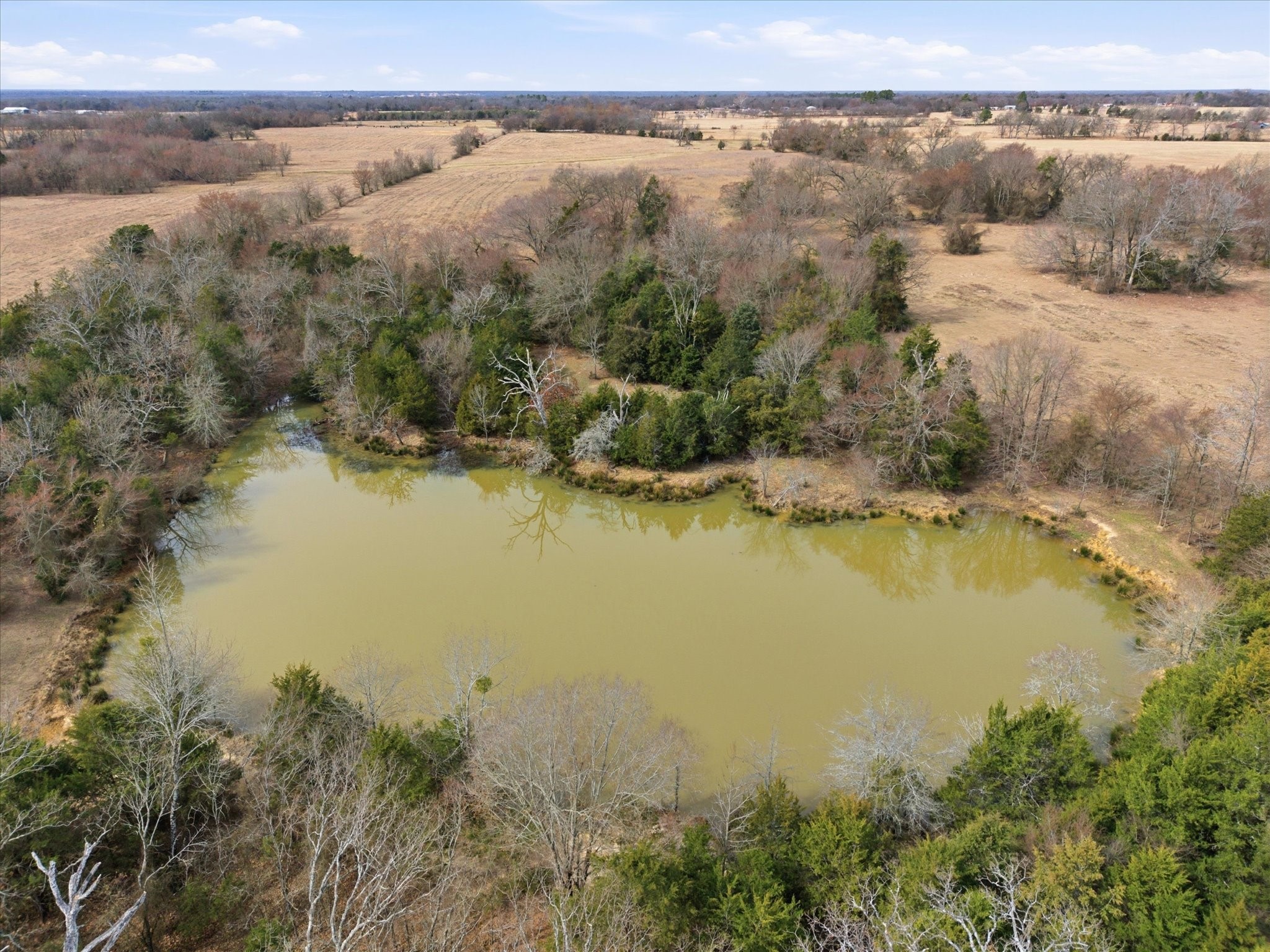 560 Rs County Road 3417 Emory TX 75440