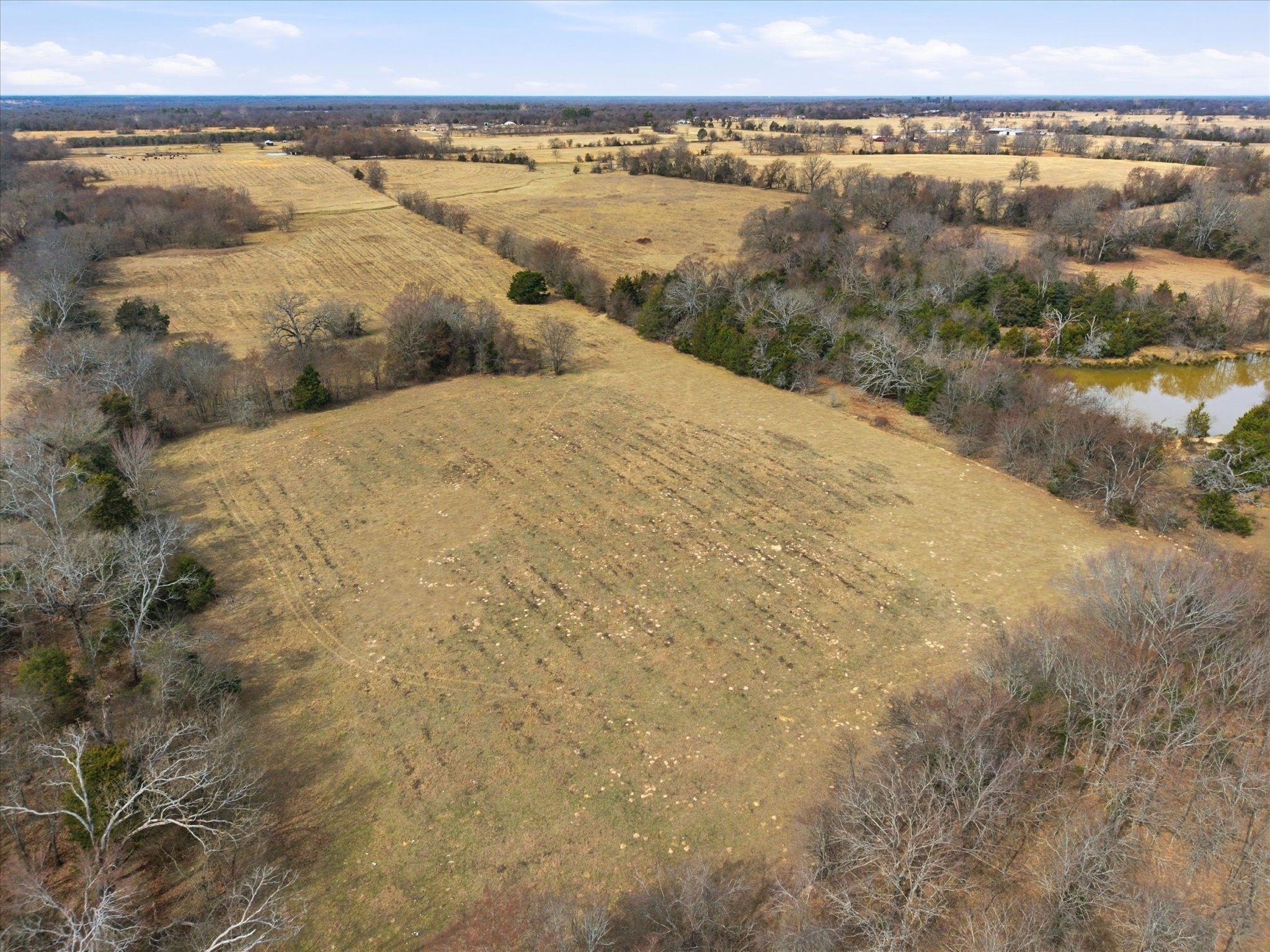 560 Rs County Road 3417 Emory TX 75440