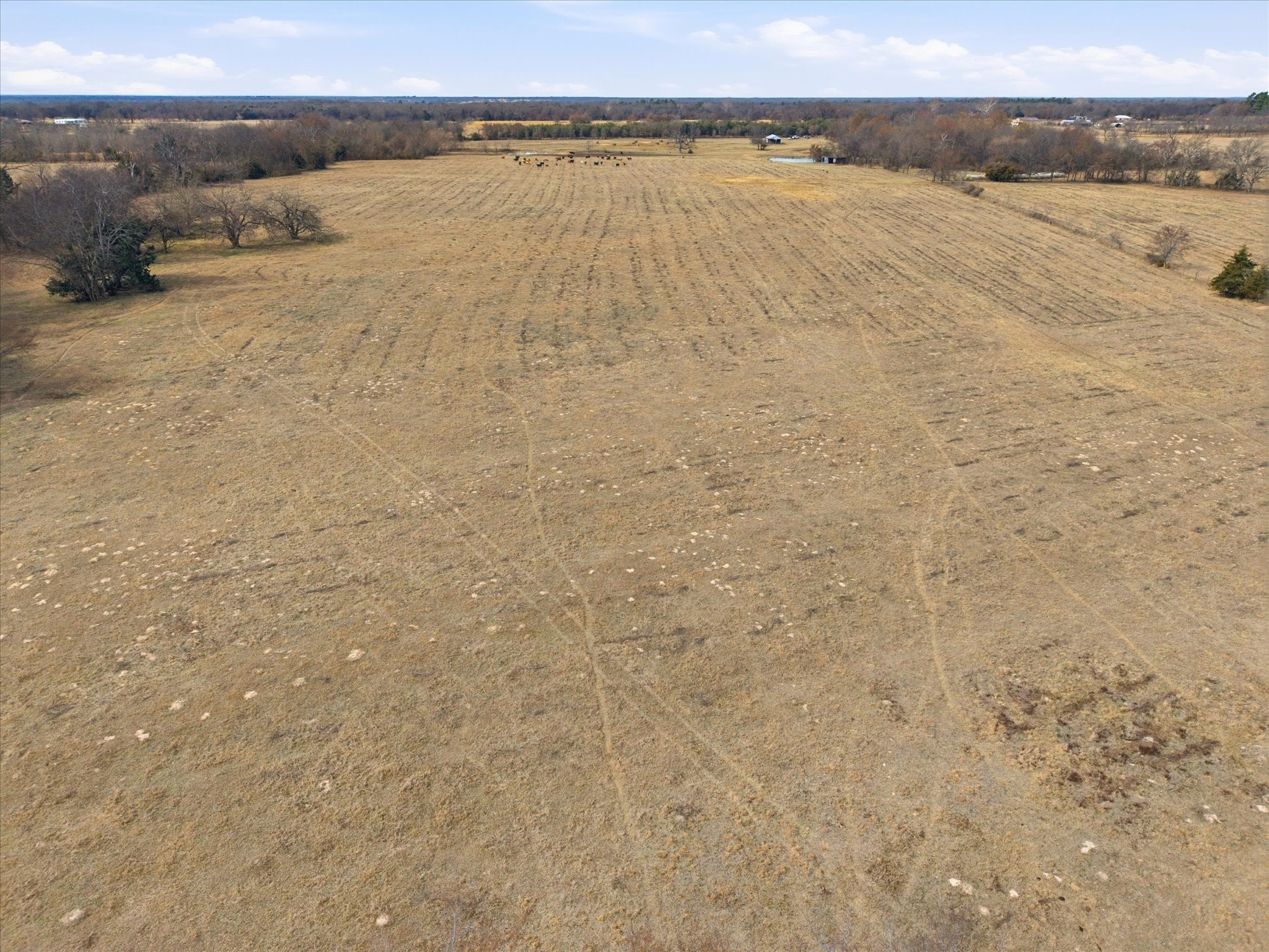 560 Rs County Road 3417 Emory TX 75440