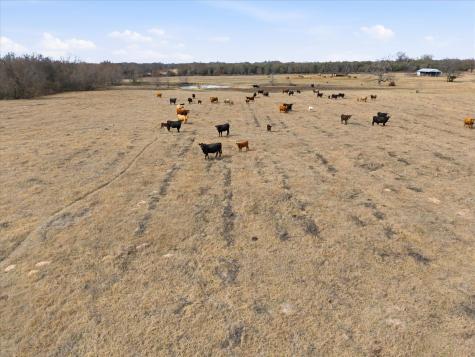 560 Rs County Road 3417 Emory TX 75440