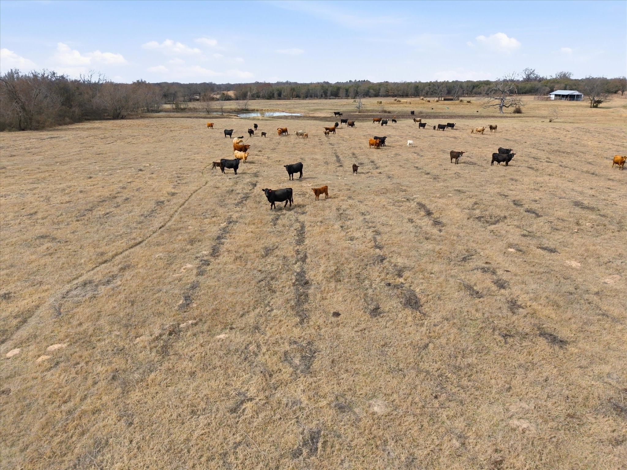560 Rs County Road 3417 Emory TX 75440