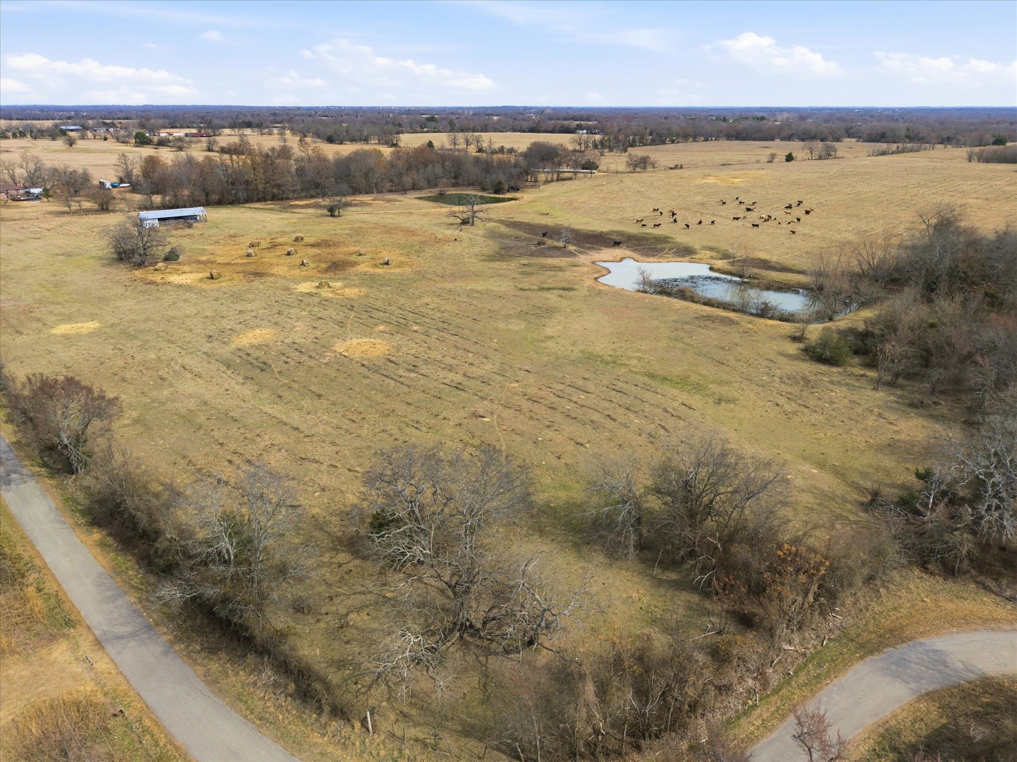 560 Rs County Road 3417 Emory TX 75440
