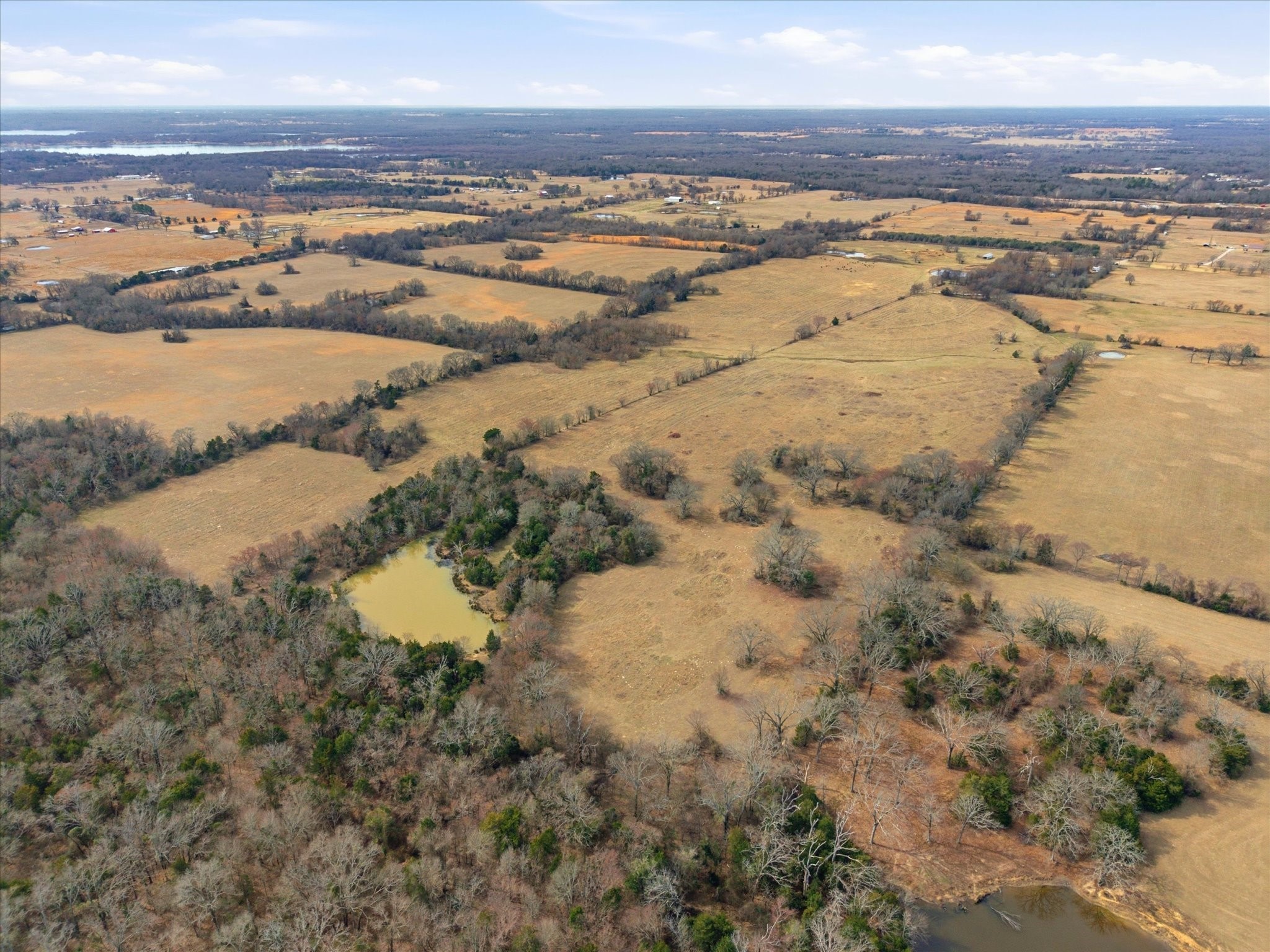 560 Rs County Road 3417 Emory TX 75440