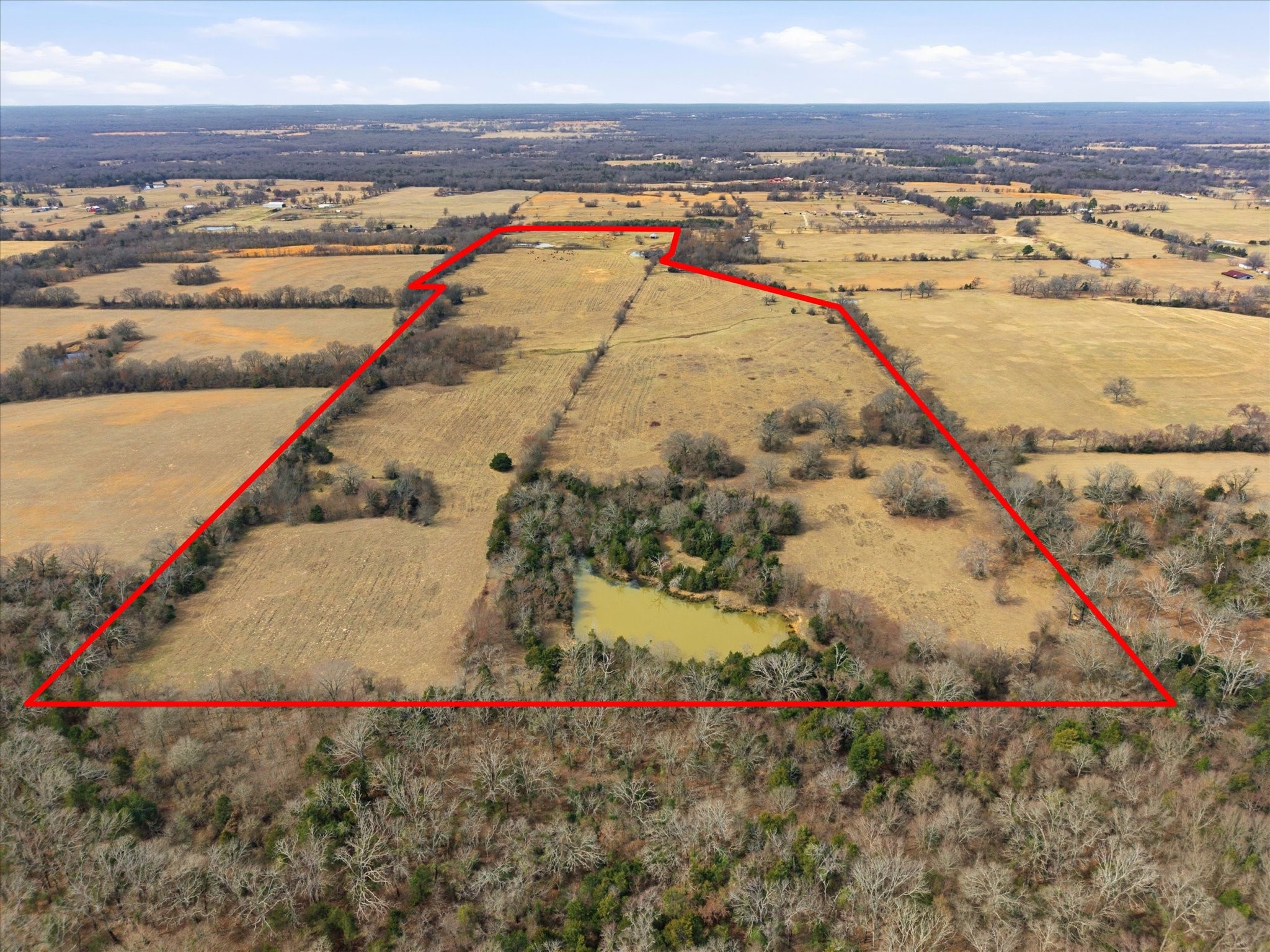 560 Rs County Road 3417 Emory TX 75440