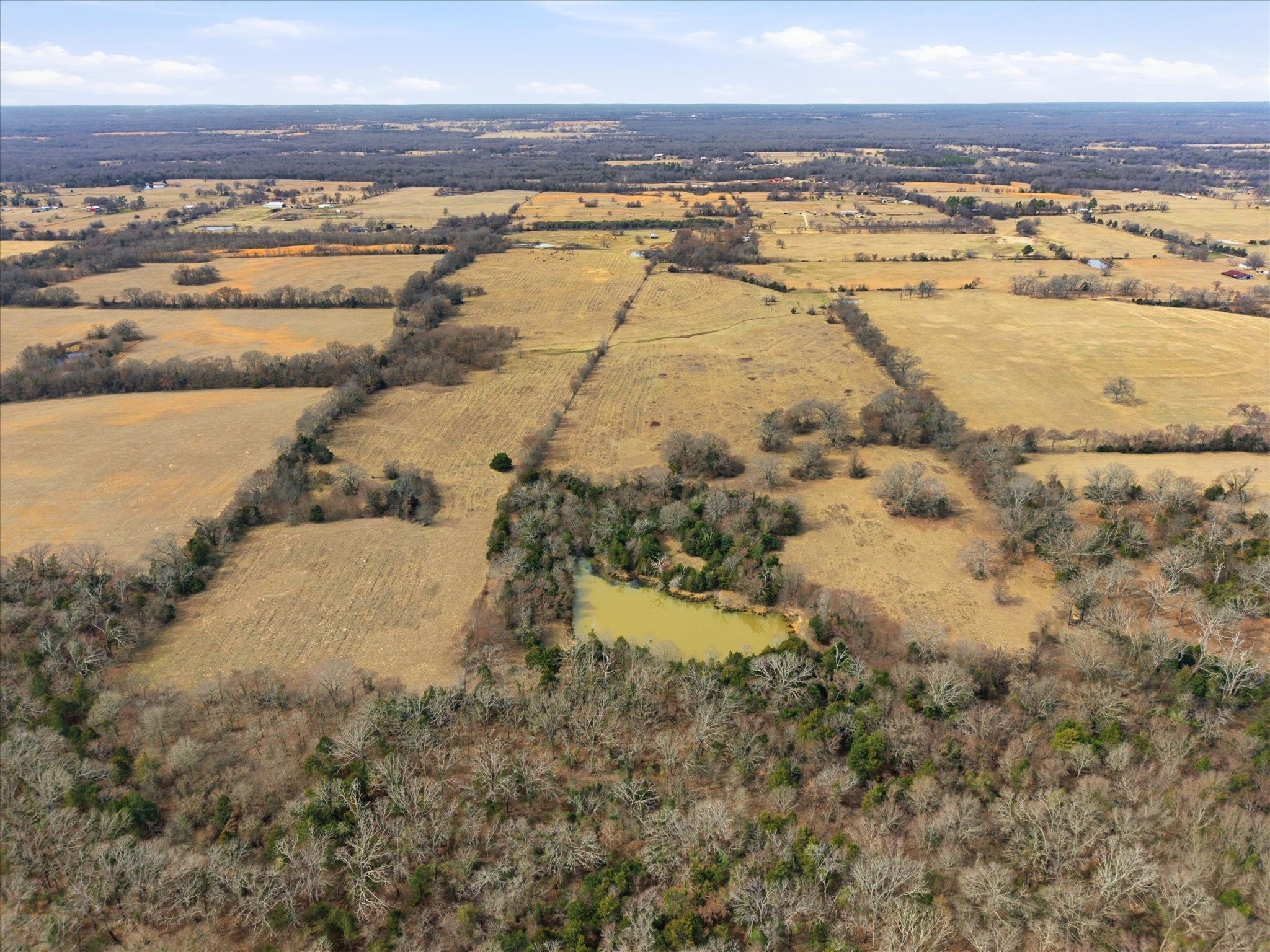 560 Rs County Road 3417 Emory TX 75440