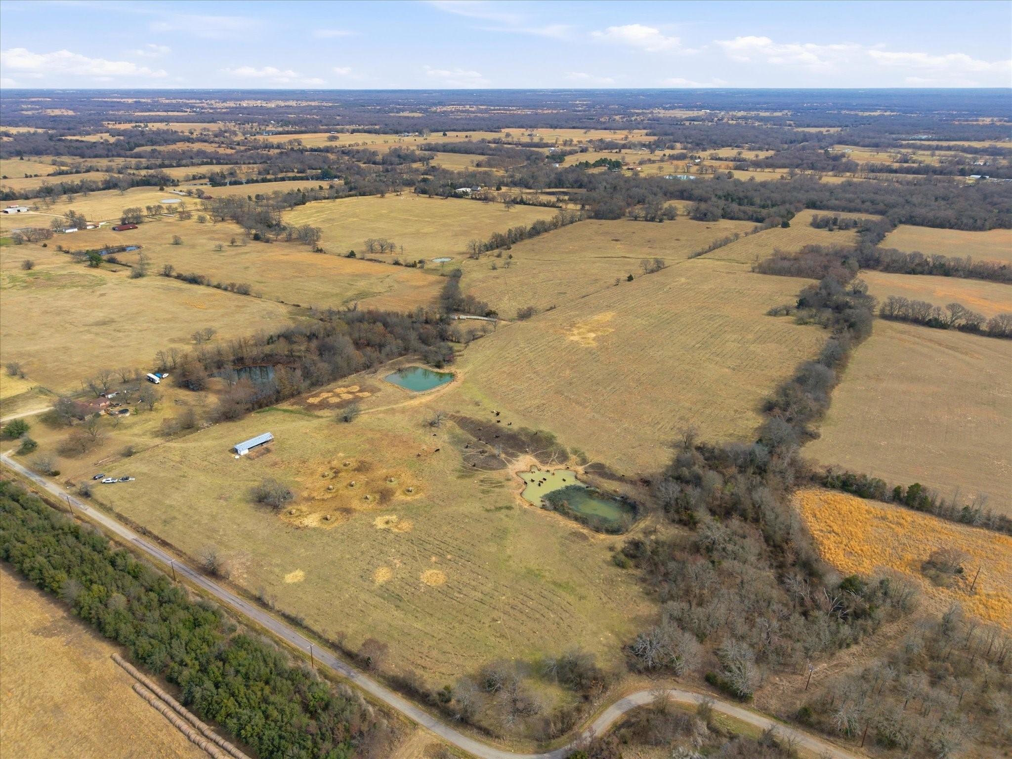 560 Rs County Road 3417 Emory TX 75440