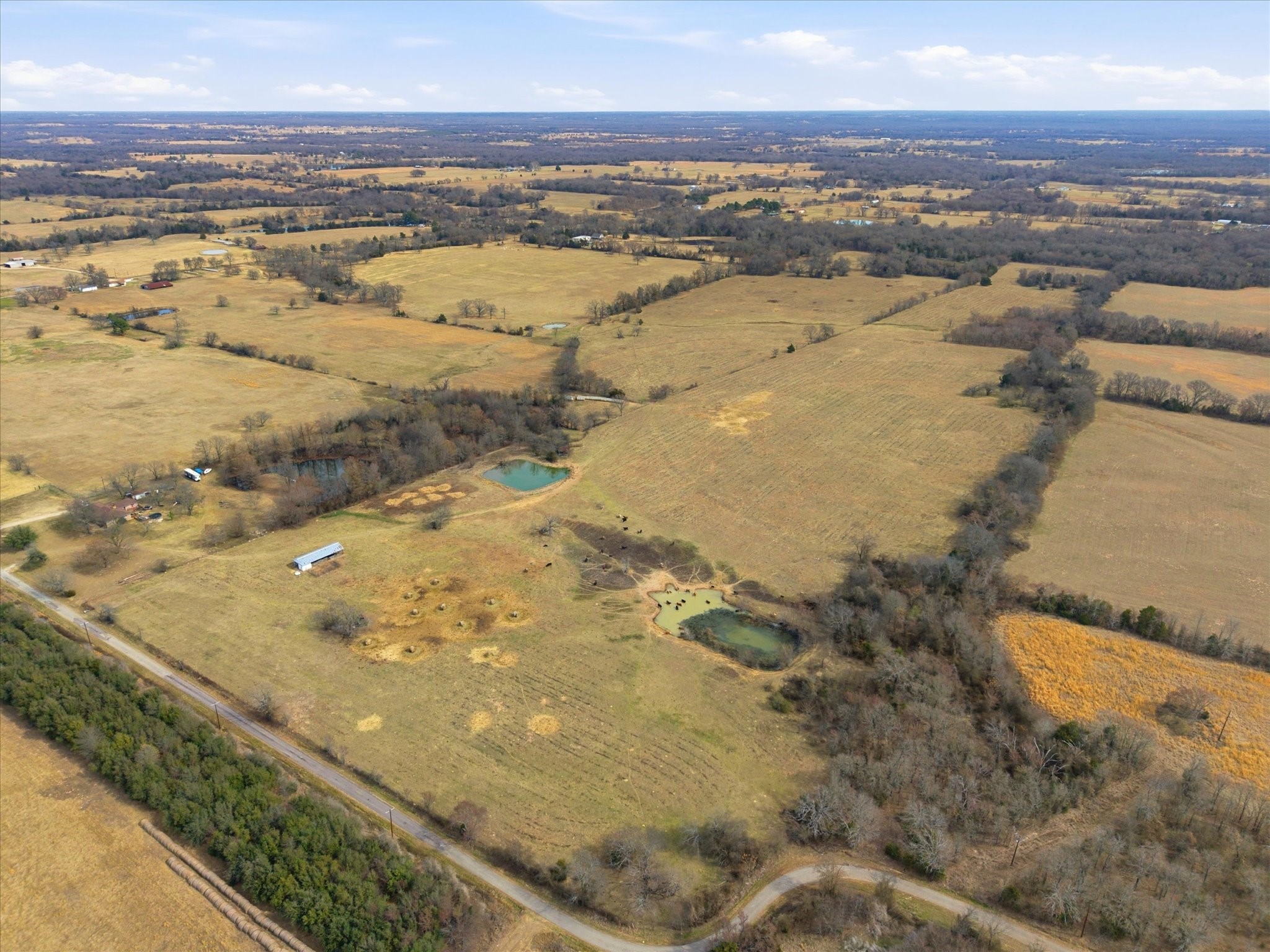 560 Rs County Road 3417 Emory TX 75440