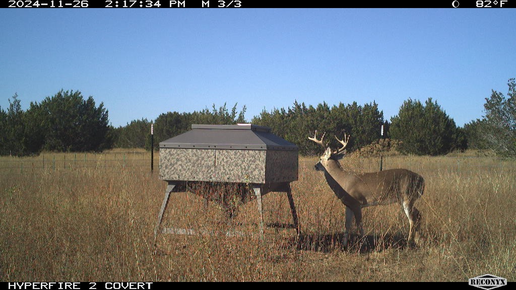 11439 Fm 1602 (124) Jonesboro TX 76538