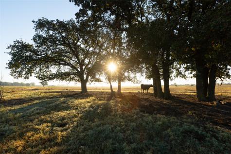 Tbd Brushy Road Granbury TX 76048