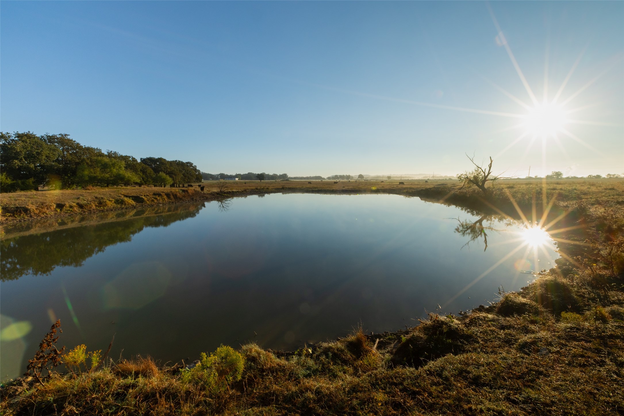 Tbd Brushy Road Granbury TX 76048