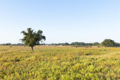 Tbd Brushy Road Granbury TX 76048