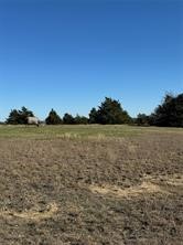 102 Red Maple Road Gunter TX 75058