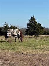 102 Red Maple Road Gunter TX 75058