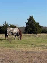 102 Red Maple Road Gunter TX 75058