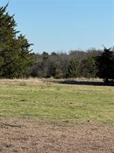 102 Red Maple Road Gunter TX 75058