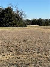 102 Red Maple Road Gunter TX 75058
