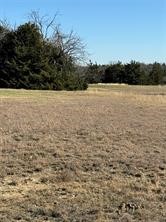 102 Red Maple Road Gunter TX 75058