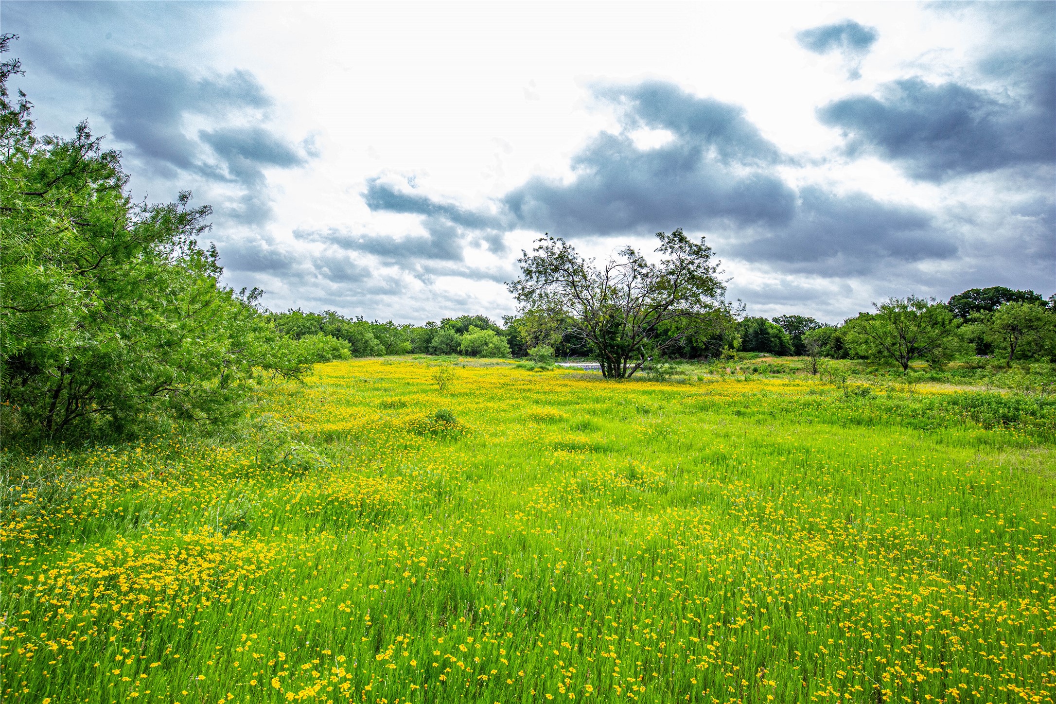 Tbd Gholson Road Waco TX 76705