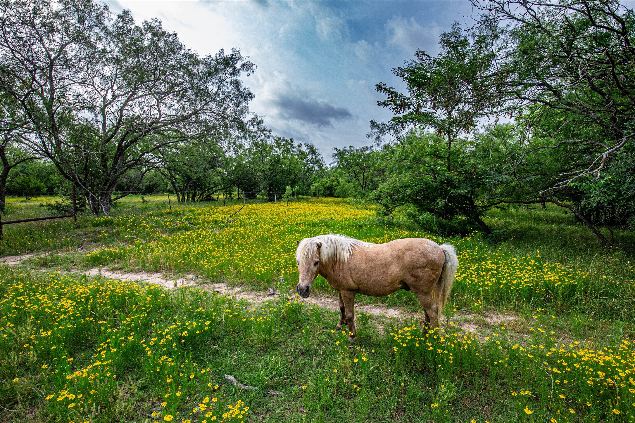 Tbd Gholson Road Waco TX 76705