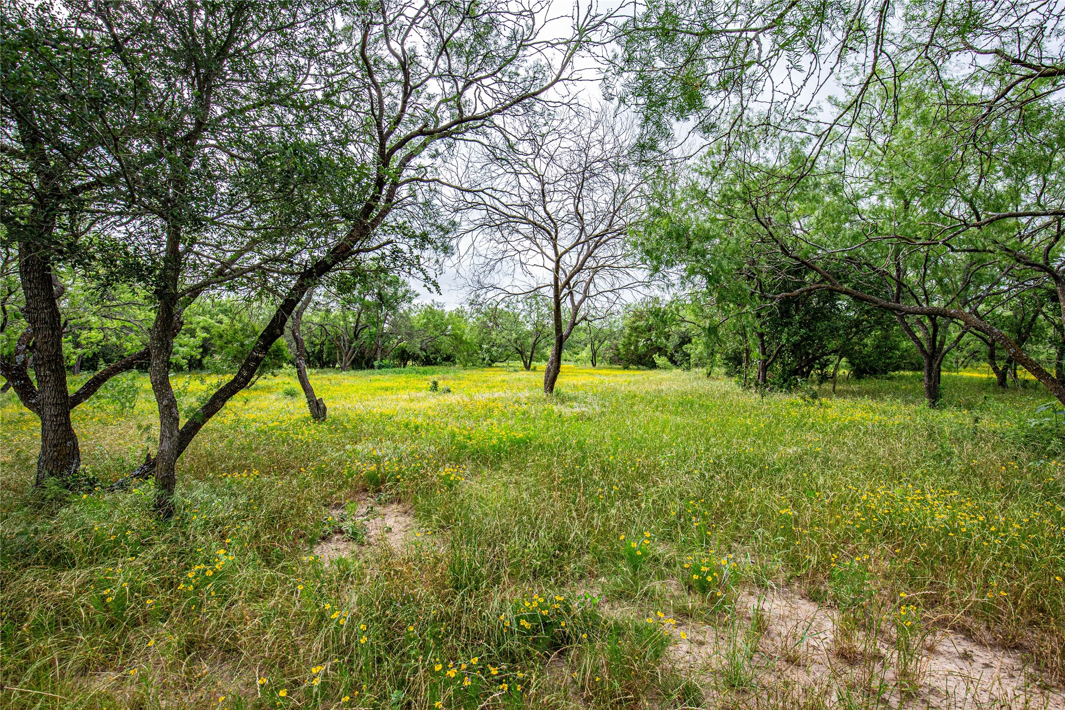 Tbd Gholson Road Waco TX 76705