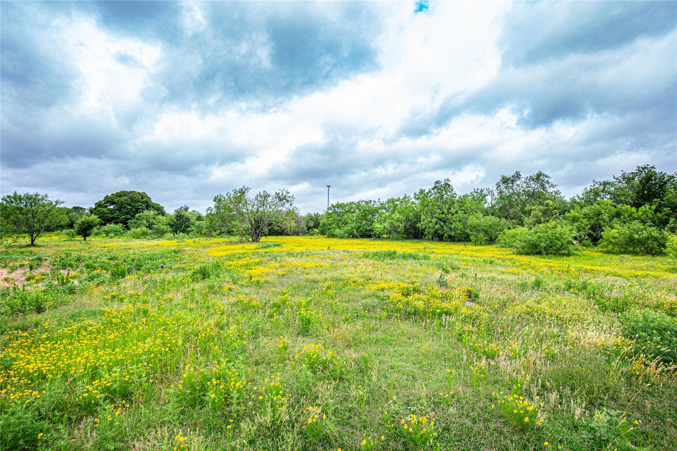 Tbd Gholson Road Waco TX 76705