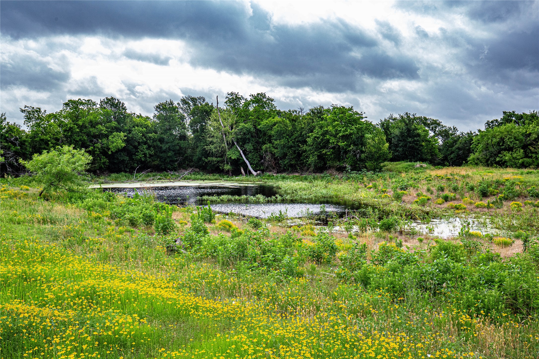 Tbd Gholson Road Waco TX 76705