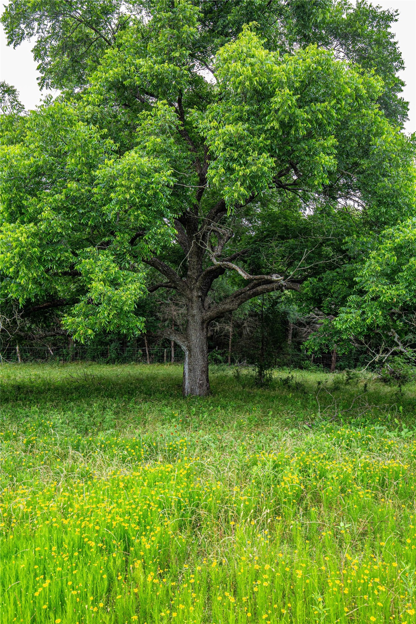 Tbd Gholson Road Waco TX 76705