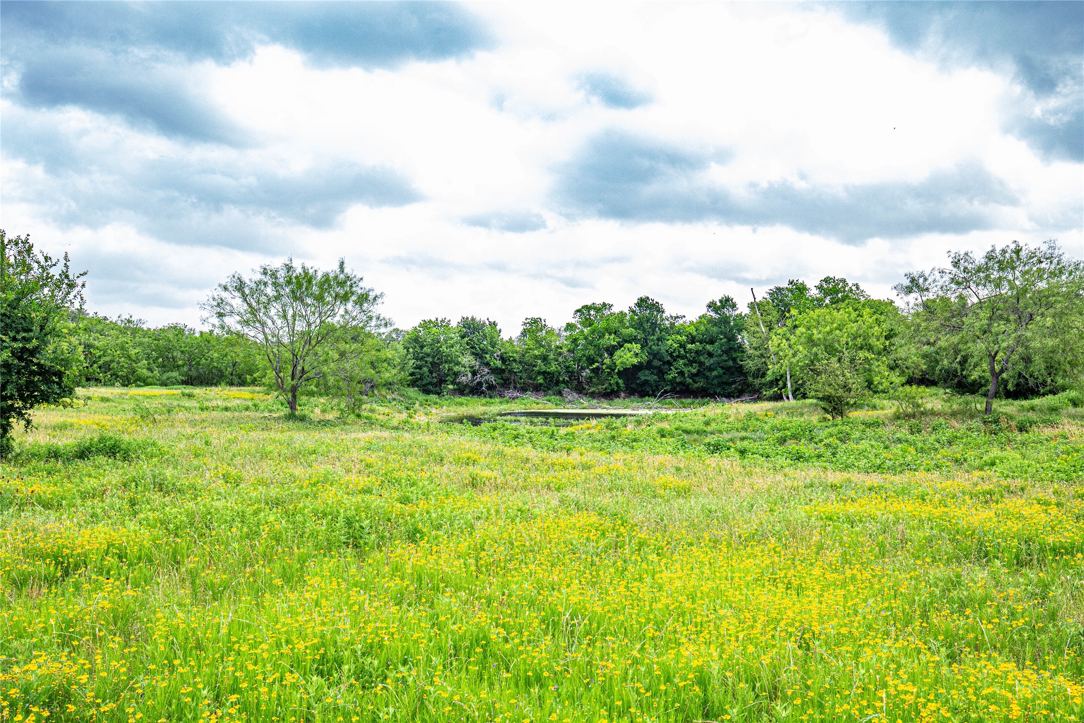 Tbd Gholson Road Waco TX 76705