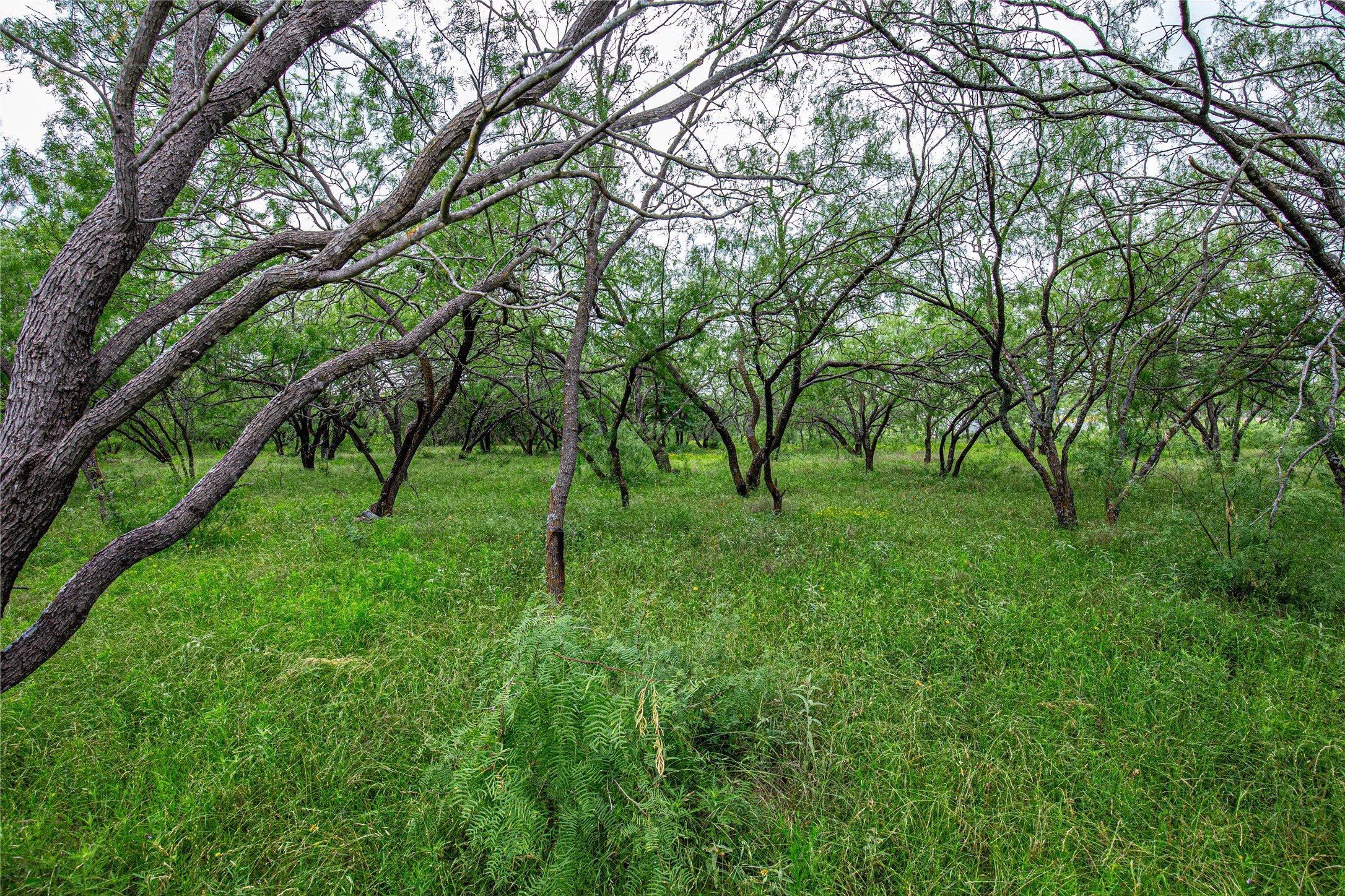 Tbd Gholson Road Waco TX 76705