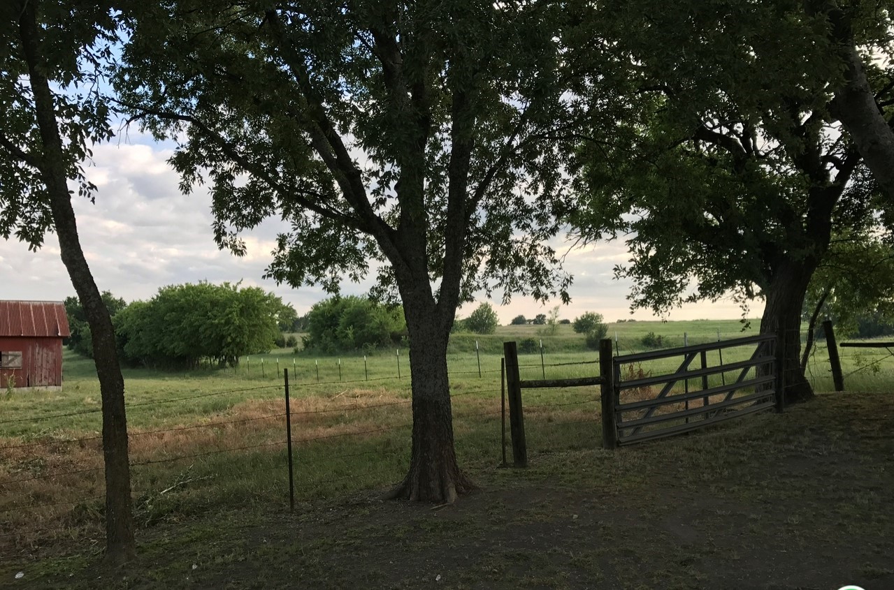 1296 Whitaker Road Van Alstyne TX 75495