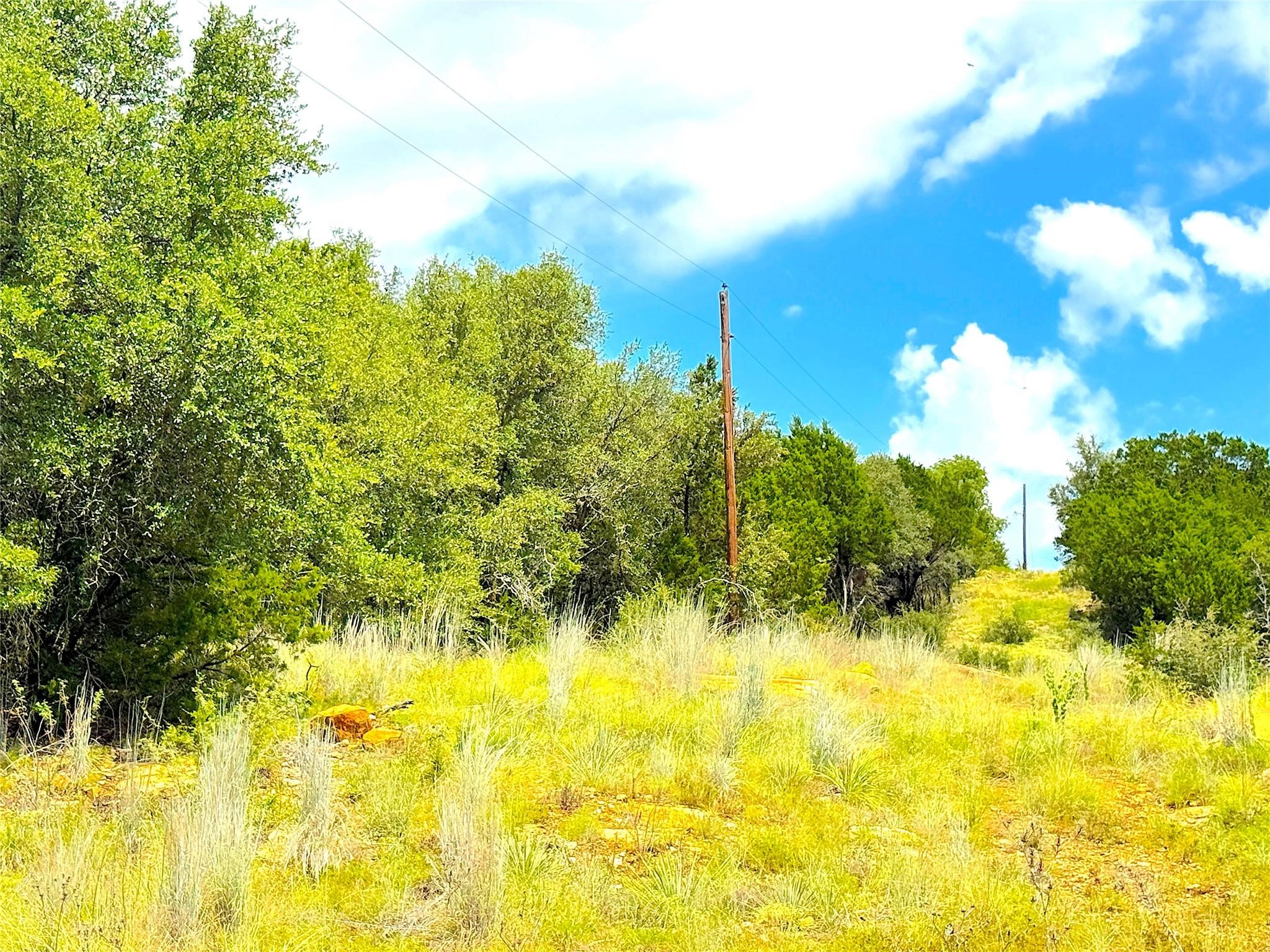 Tbd B Consolation Drive Millsap TX 76066