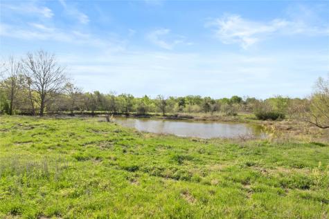Tbd Fcr 971 Mexia TX 76667