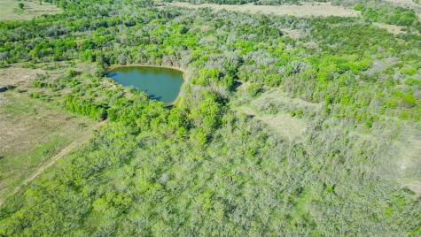 Tbd Fcr 971 Mexia TX 76667