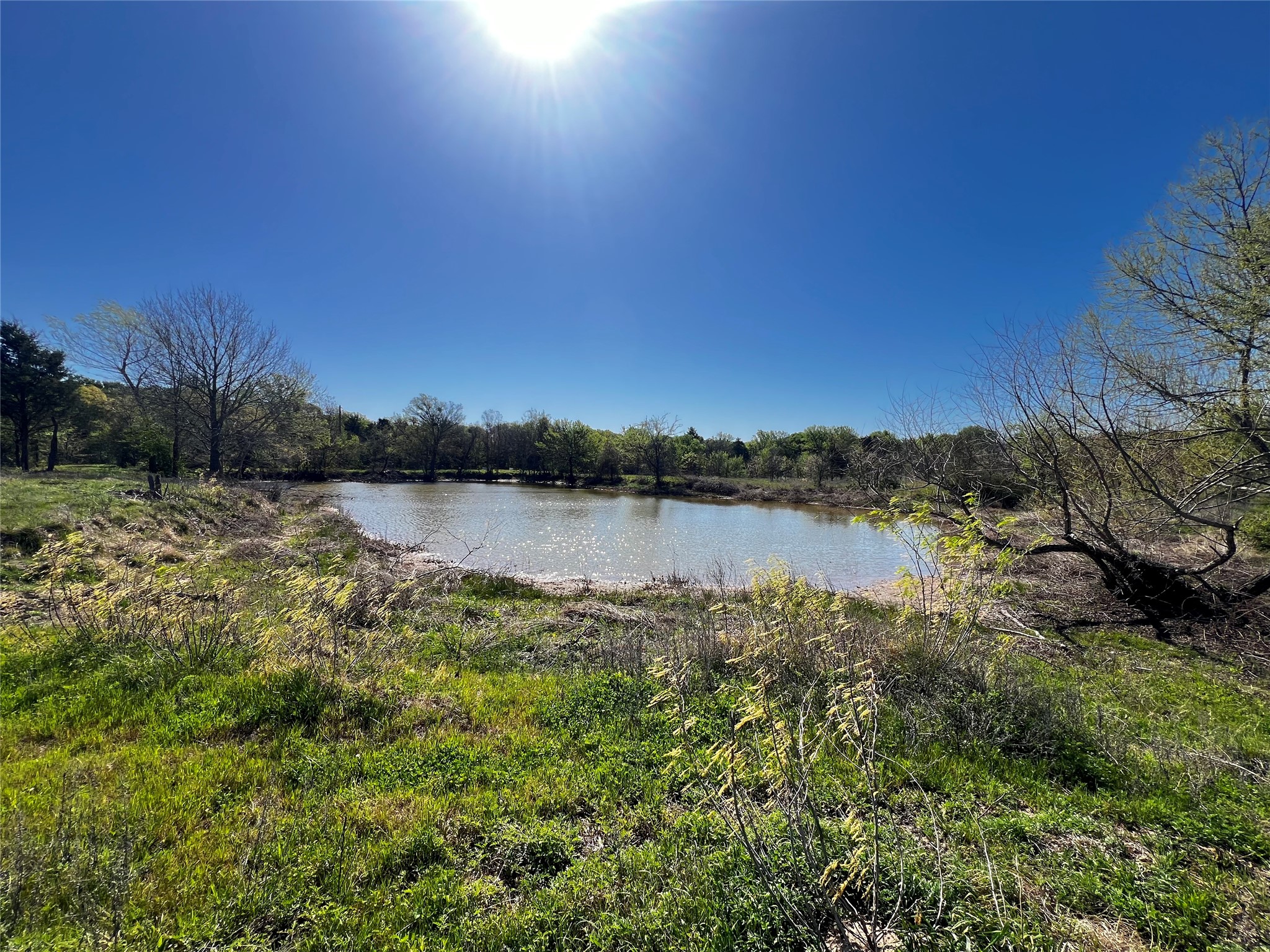Tbd Fcr 971 Mexia TX 76667