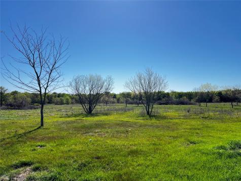 Tbd Fcr 971 Mexia TX 76667