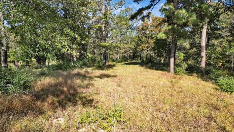 Tbd Pr 3398 Road Big Sandy TX 75755