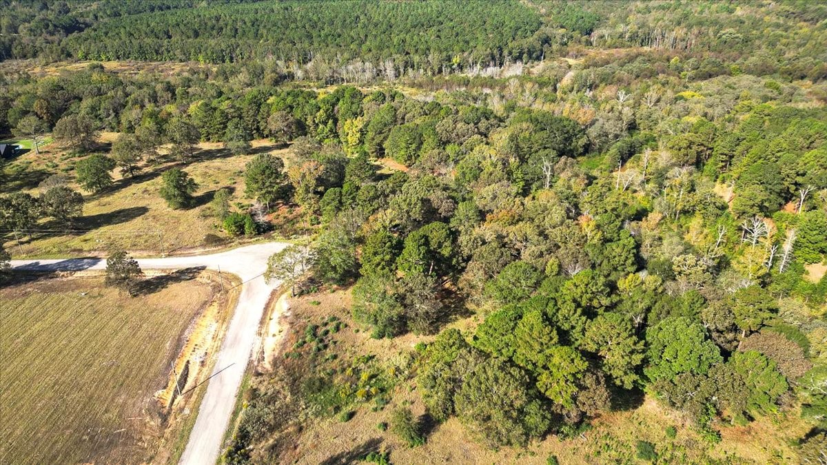 Tbd Pr 3398 Road Big Sandy TX 75755
