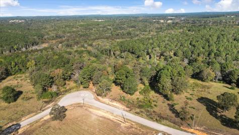 Tbd Pr 3398 Road Big Sandy TX 75755
