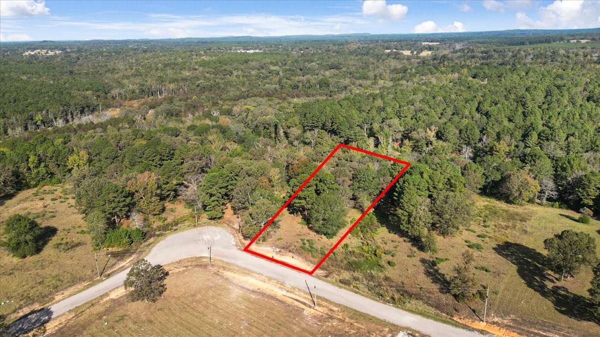 Tbd Pr 3398 Road Big Sandy TX 75755