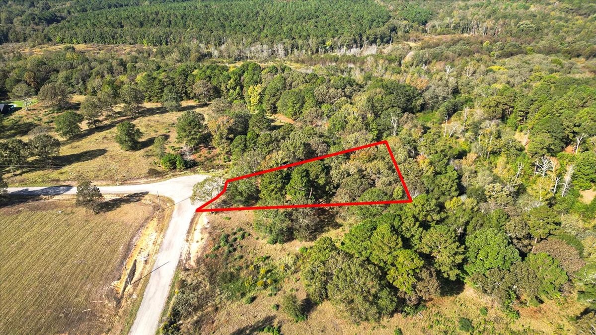 Tbd Pr 3398 Road Big Sandy TX 75755