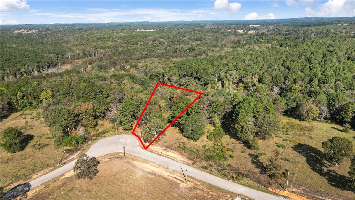 Tbd Pr 3398 Road Big Sandy TX 75755
