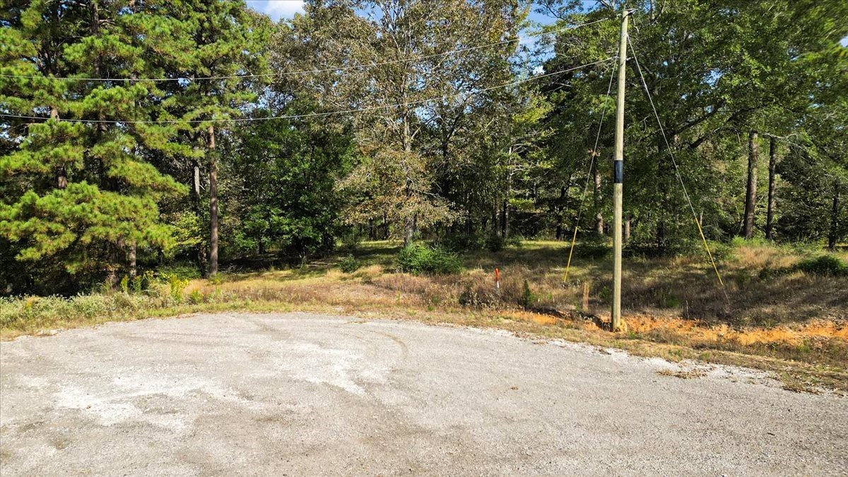 Tbd Pr 3398 Road Big Sandy TX 75755