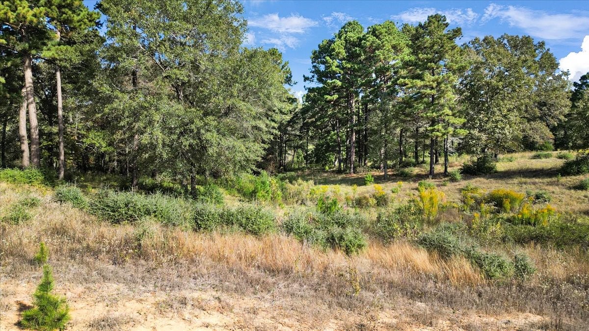 Tbd Pr 3398 Road Big Sandy TX 75755