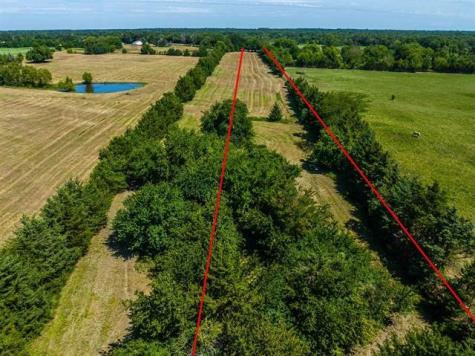 Tbd Farm Road 194 Blossom TX 75416
