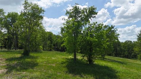 Lot 14 Opal Drive & Bs#4 Corsicana TX 75109